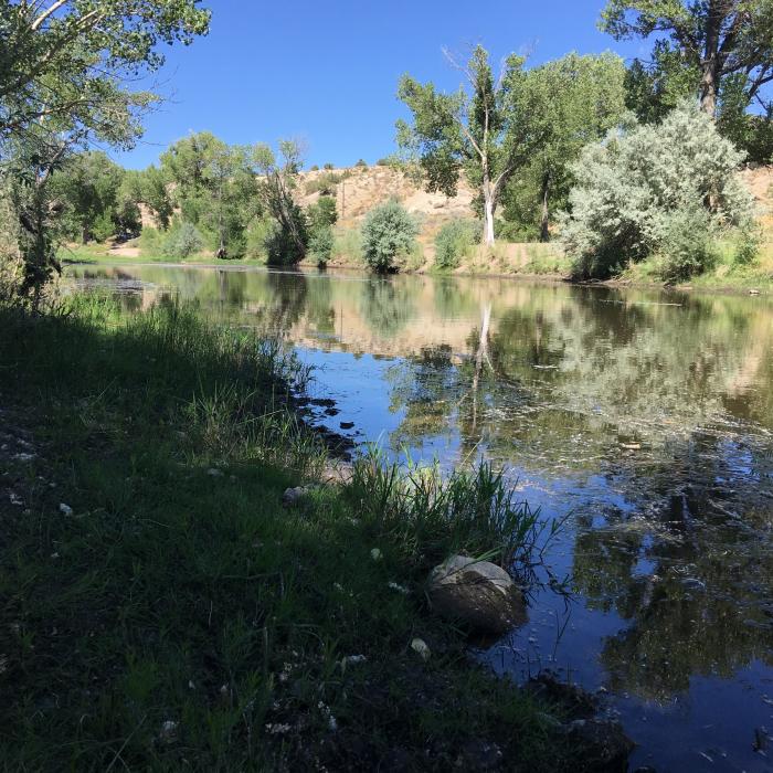 The Carson River Park is a favorite for hiking, fishing, or just relaxing in the shade.