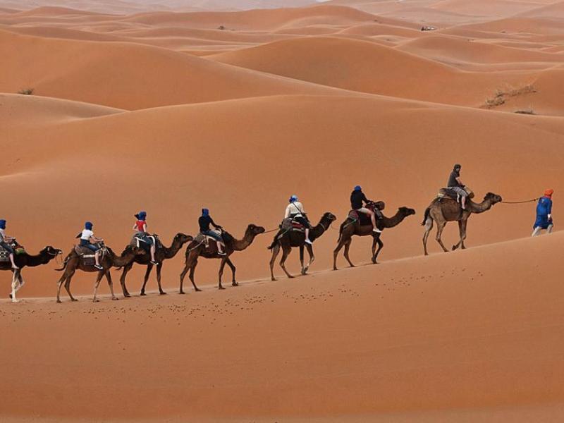 This photo shows camel trekking in Morocco. In the second photo, Marilyn Foster at Taj Mahal.