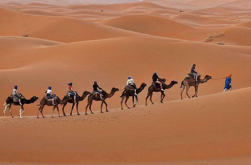 This photo shows camel trekking in Morocco. In the second photo, Marilyn Foster at Taj Mahal.