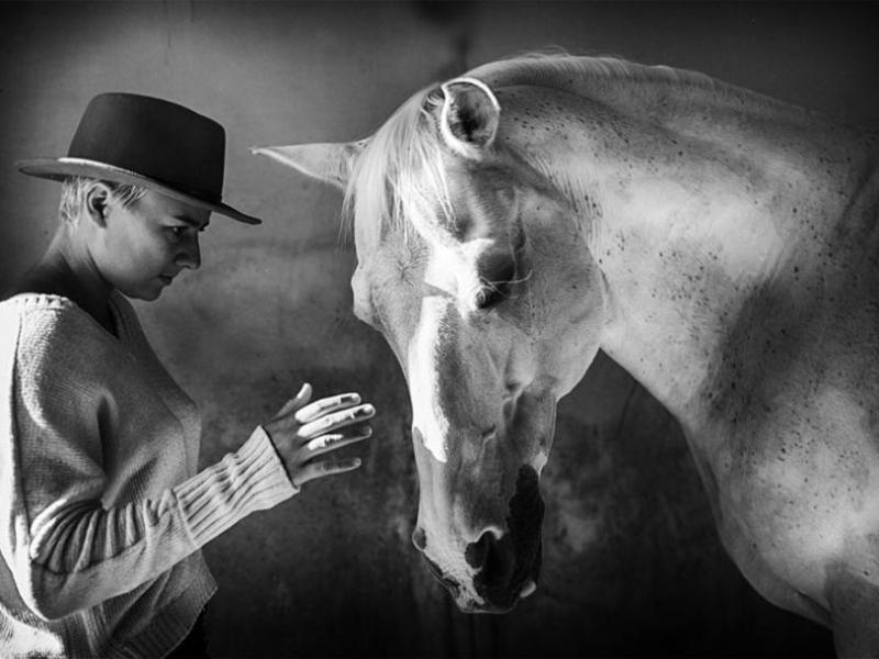 "A Steady Hand" Fred Howland of Carson City won Best in Show