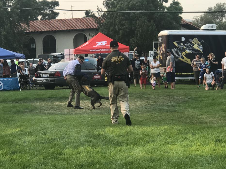 Very good boy officer Ivo demonstrates his attack skills for the crowd.