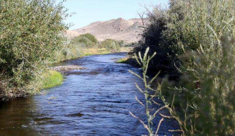 Nevada’s newest state park is the Walker River State Recreation Area. Photo by Nevada State Parks