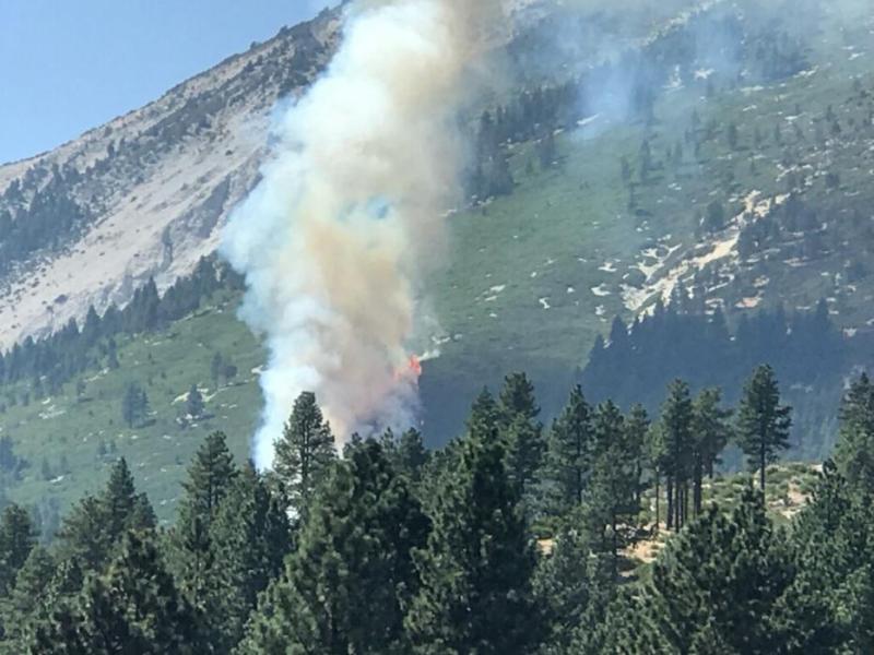 The crash of the motorized glider sparked a 64-acre fire at Slide Mountain on Sept. 2. Photo by Kelsey Penrose