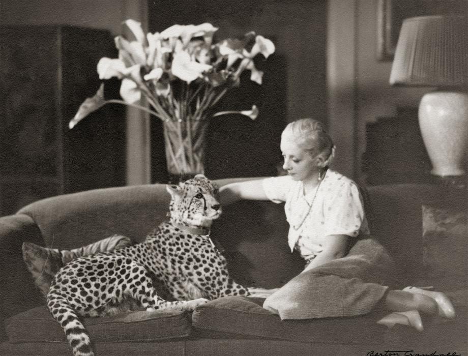 His wife, Elia, was an animal lover as well, and kept a group of Cheetahs as her house cats.