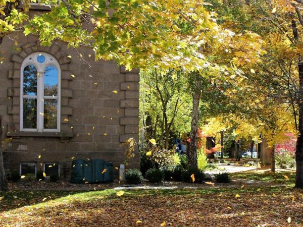 What’s happening Wednesday around Carson City and beyond
