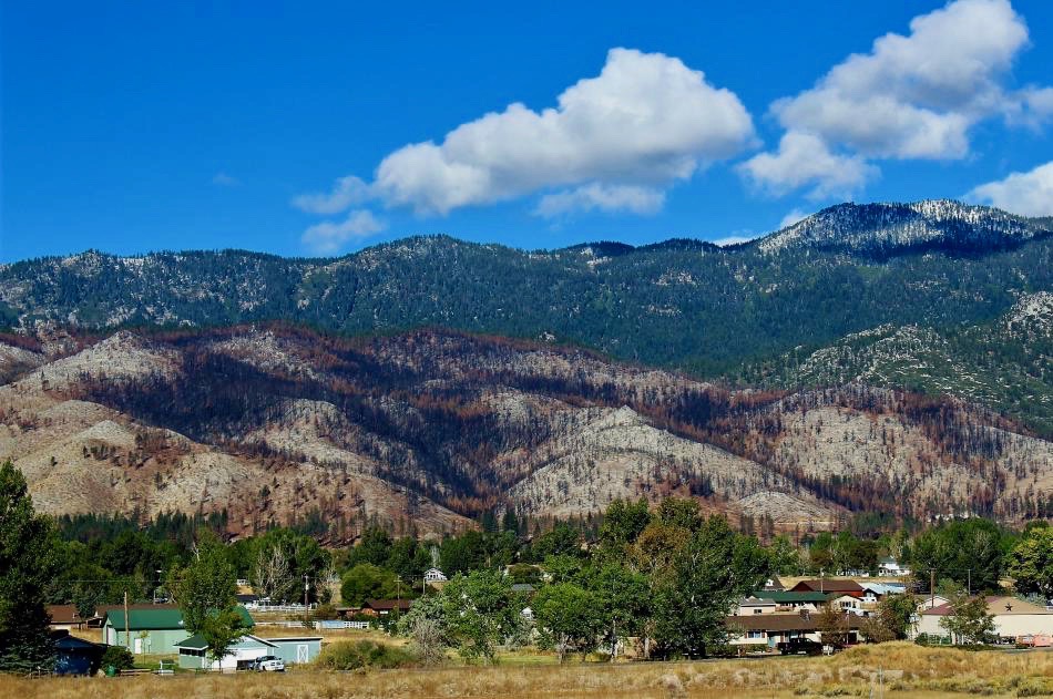 Burn scar from the Little Valley Fire, which scorched more than 2,000 acres in October 2016.