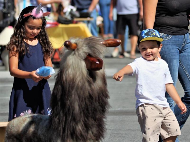 Photos by Brett Fisher. Families made a day of the Second annual Carson City Community Garage Sale.