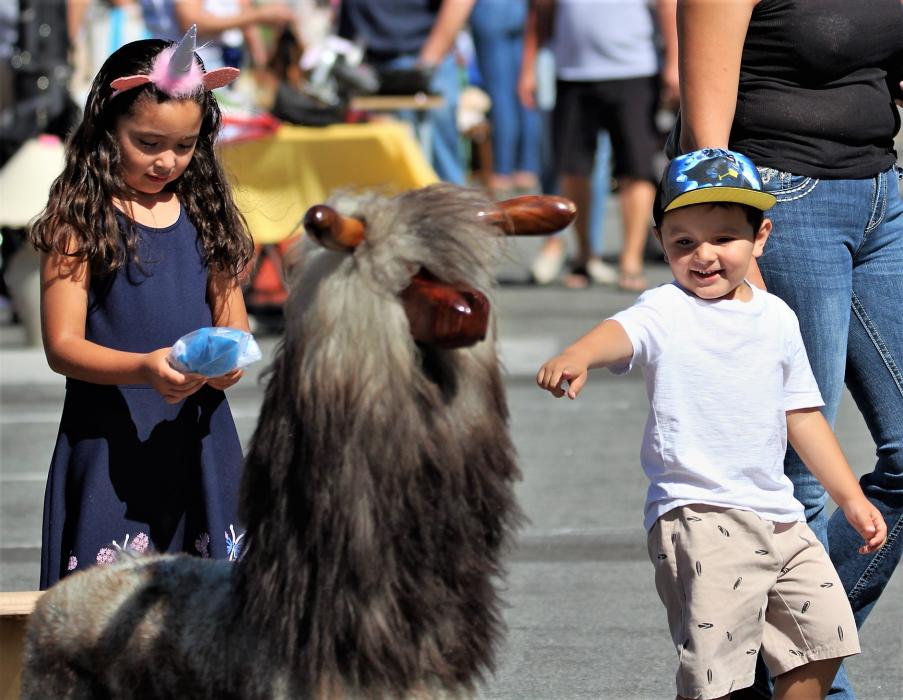 Photos by Brett Fisher. Families made a day of the Second annual Carson City Community Garage Sale.