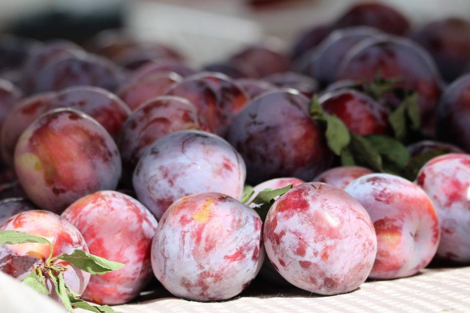 Ripe plums.