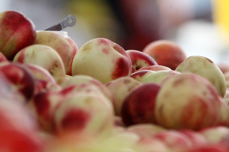 Succulent white-meat nectarines.