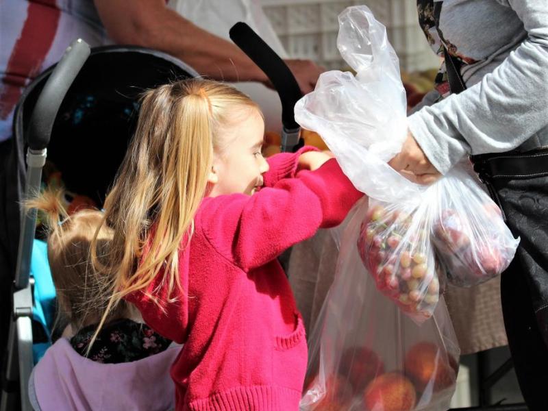 Photos by Brett Fisher. A little girl places a nectarine in a grocery bag Saturday at the final farmer's market of the season.