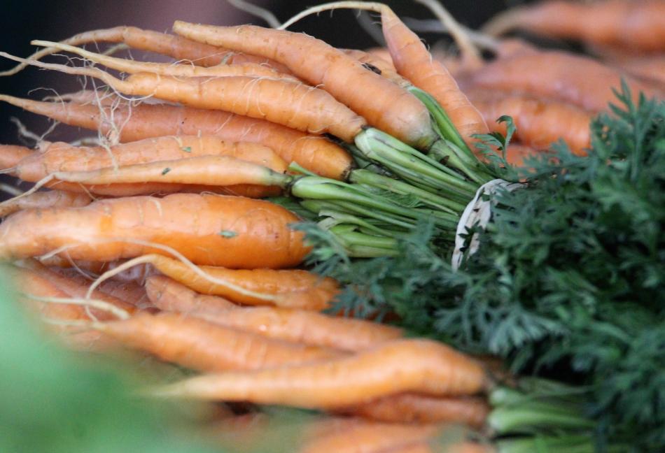 Bunches of carrots.