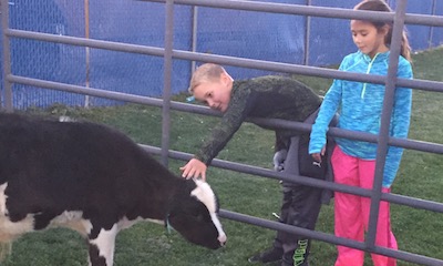 CHS Future Farmers of America Cow Plop fundraiser coming up soon.