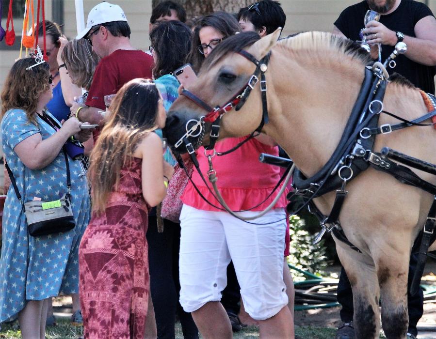 A woman kisses a working horse on the nose during the monthly Wine Walk in downtown Carson City Saturday.