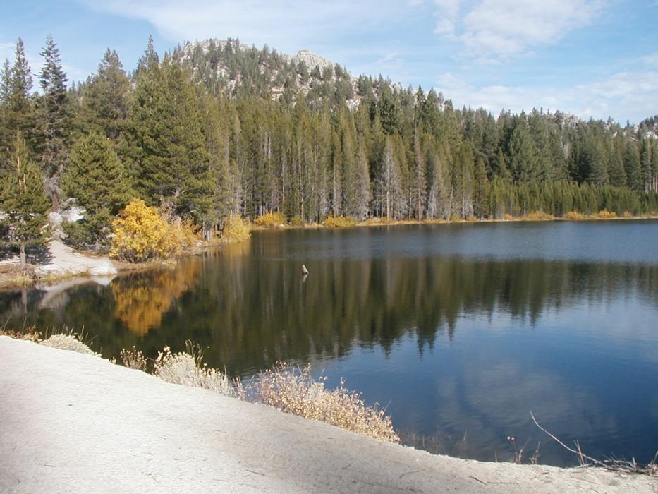 Spooner Lake portion of Lake Tahoe Nevada State Park from Sept. 12 to Nov. 16 to address forest health issues.