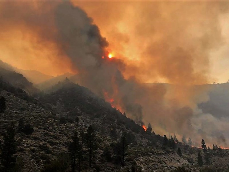 Photo courtesy USFS