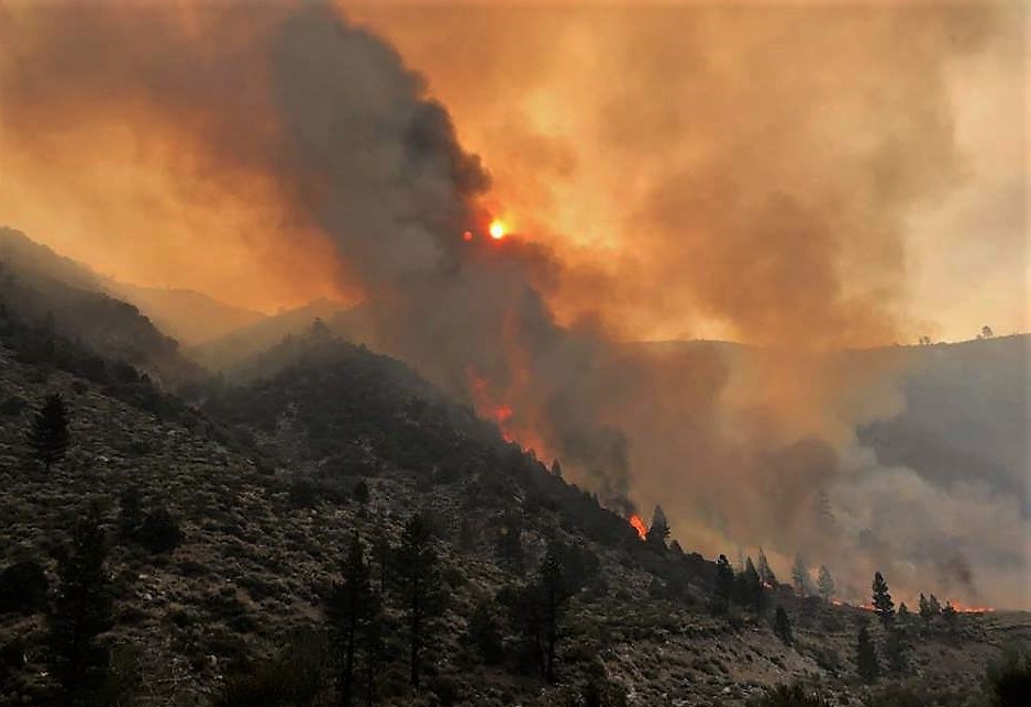 Photo courtesy USFS