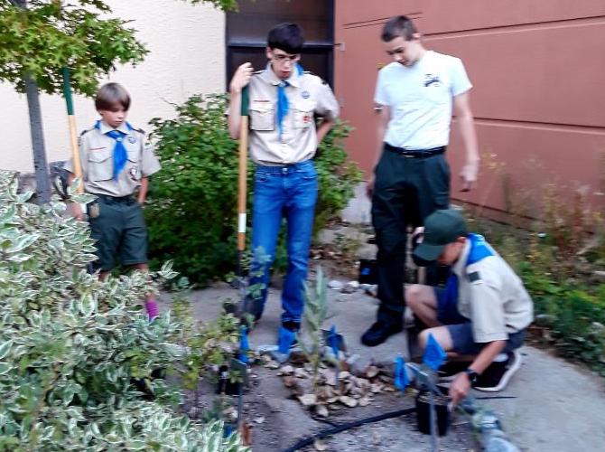 Ryder Kiel, Nate Amrhein, Jared Walker, and Hank Cook plant milkweed to sustain monarch butterflies as they migrate.