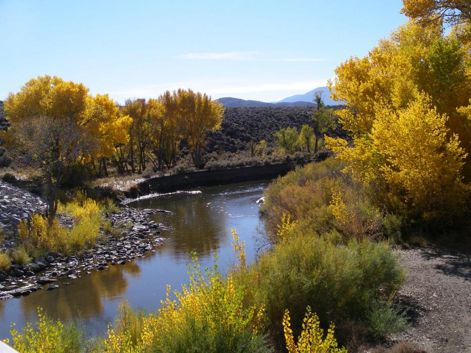 Fall colors along the Carson River. File photo by Elaine Quilici