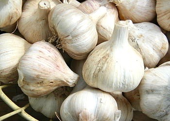 Photo courtesy Wikipedia