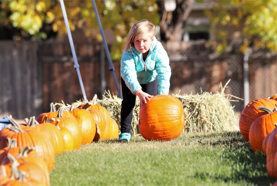 Photos by Brett Fisher. A girl rolls a pumpkin in Linus Van Pelt-fashion Saturday morning at Seeliger Elementary School.