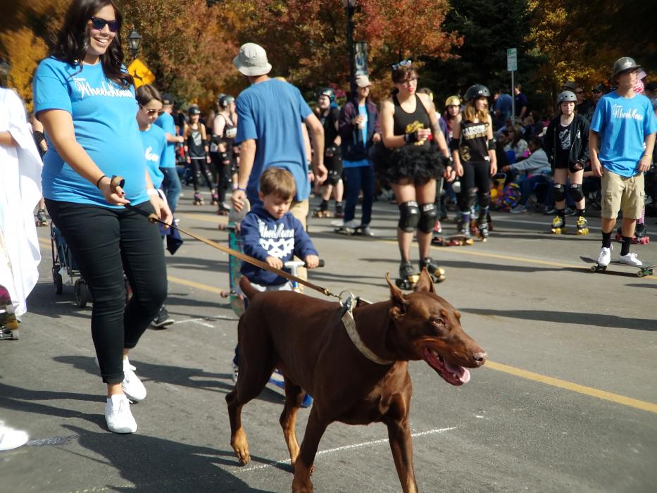 The Wheel House and Carson Victory Rollers