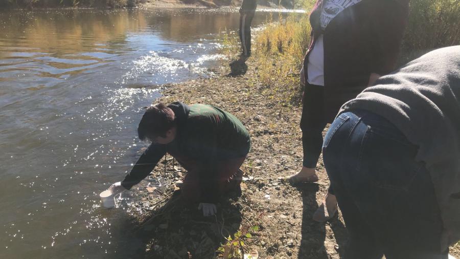 Pioneer students sample water quality in the Carson River
