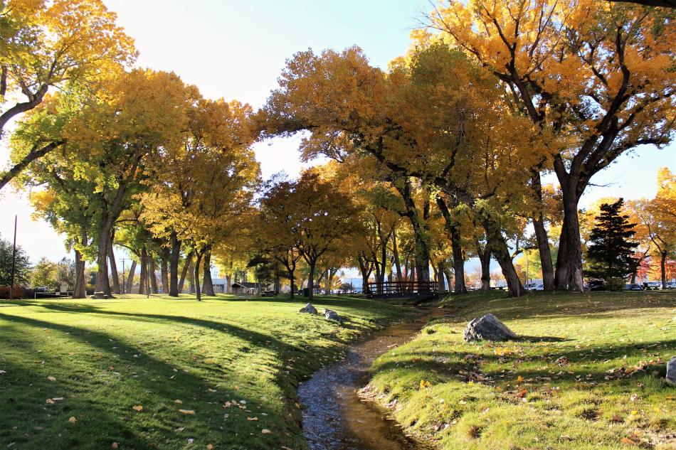 Photo by Brett Fisher. Autumn late afternoon in Mills Park.