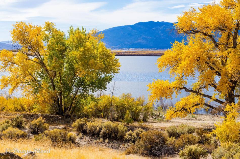 Fall colors at Washoe Lake. Photo courtesy of Duane Blood Photography
