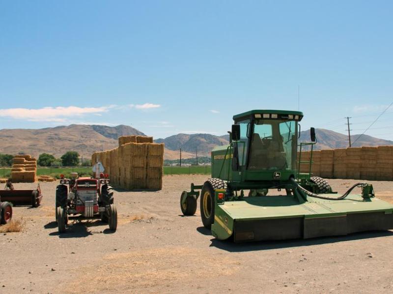UNR's Field Laboratory is used for research, education and outreach with sheep, cattle grazing, hay & alfalfa production.
