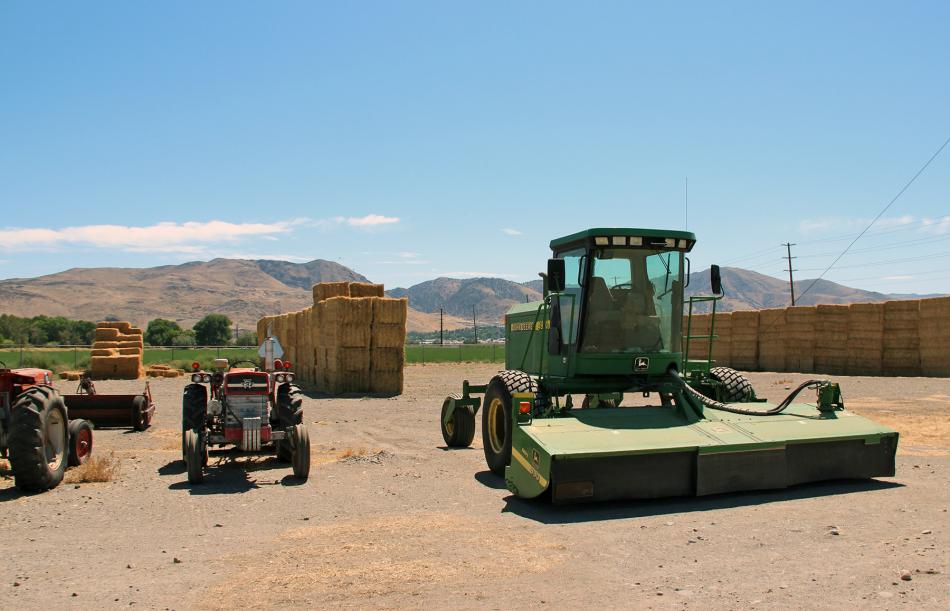 UNR's Field Laboratory is used for research, education and outreach with sheep, cattle grazing, hay & alfalfa production.