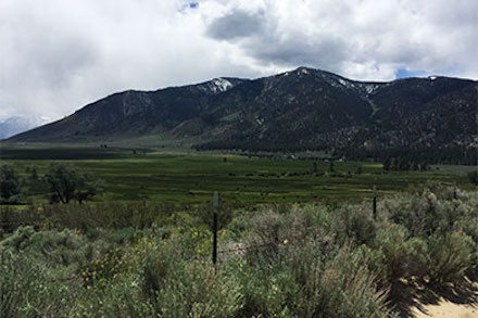 Jacks Valley Ranch. Photo credit: Mike Ford, the Conservation Fund