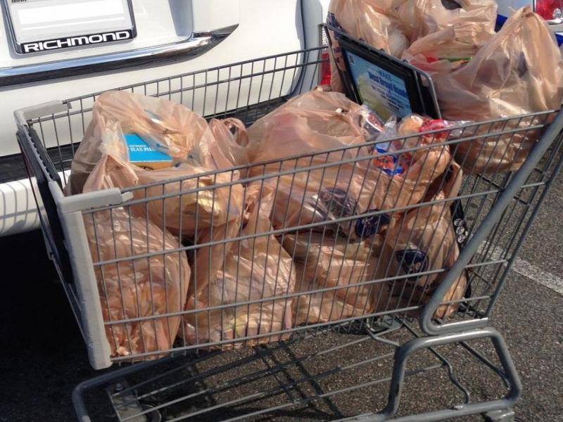 Groceries in multiple plastic bags. Wikipedia photo