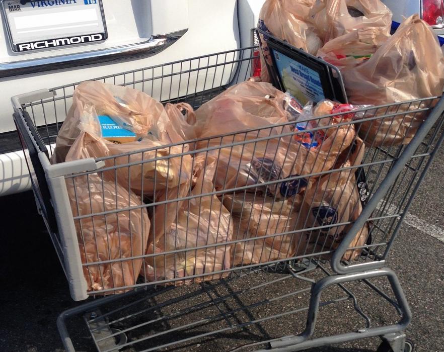 Groceries in multiple plastic bags. Wikipedia photo