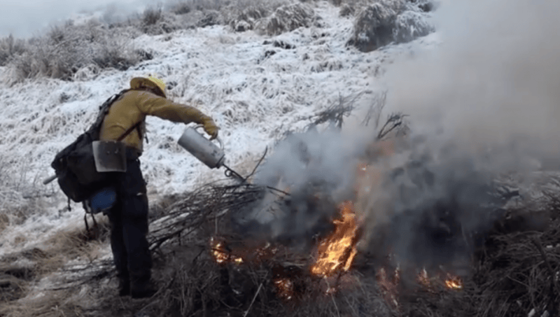 Prescribed fire operations started again Tuesday near C Hill.