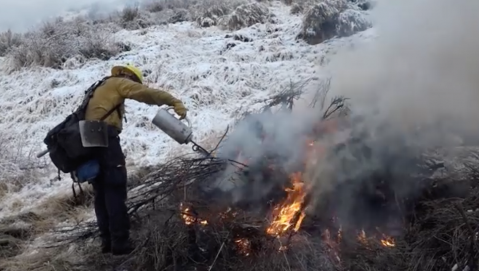 Prescribed fire operations started again Tuesday near C Hill.
