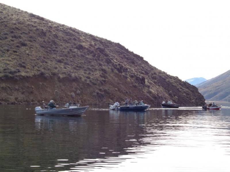 The Topaz Lake season opener is Jan. 1, 2019, kicking off the annual Topaz fishing derby.