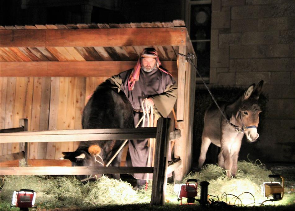 Livestock is tended to at the manger.