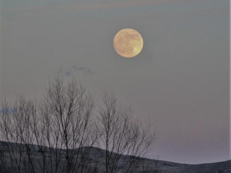 A full moon rises over Carson City Friday night.