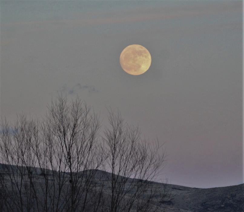 A full moon rises over Carson City Friday night.