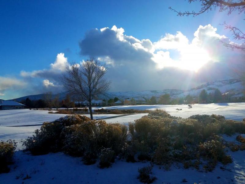 Photo by Brett Fisher. A Wintery late Autumn scene in Carson City.