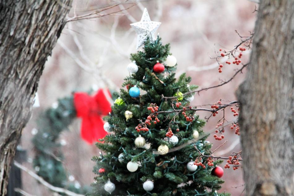 Christmas tree and wreath on the Capitol grounds.