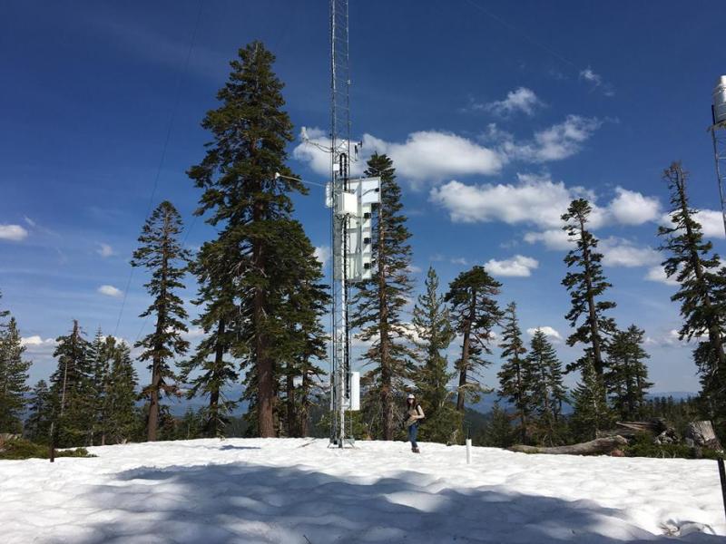 In collaboration with NASA, Rose Petersky collected snow information around weather towers. Photo by Adrian Harpold