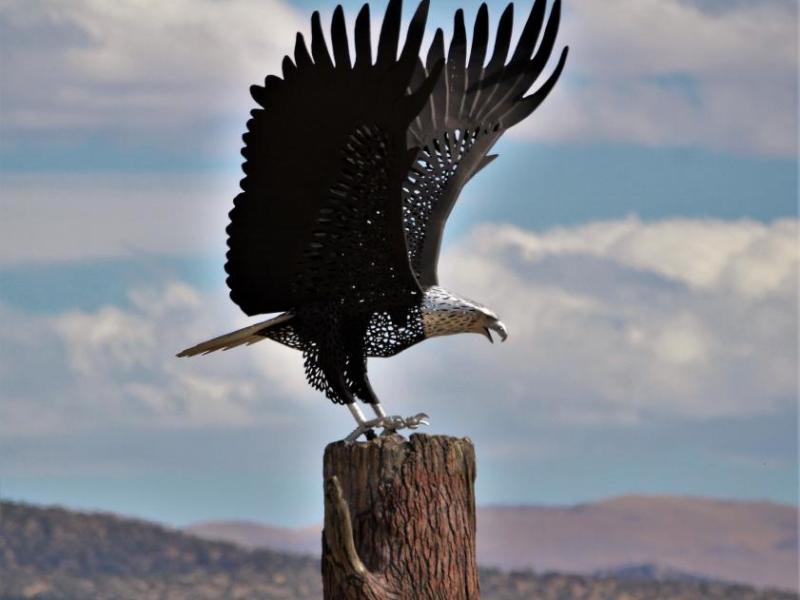 Photo by Brett Fisher. The bald eagle statue at Spooner Junction in South Carson City.