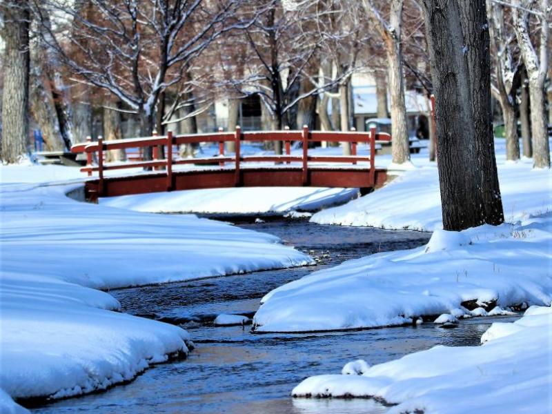 Photo by Brett Fisher. Mills Park after a heavy snowfall.
