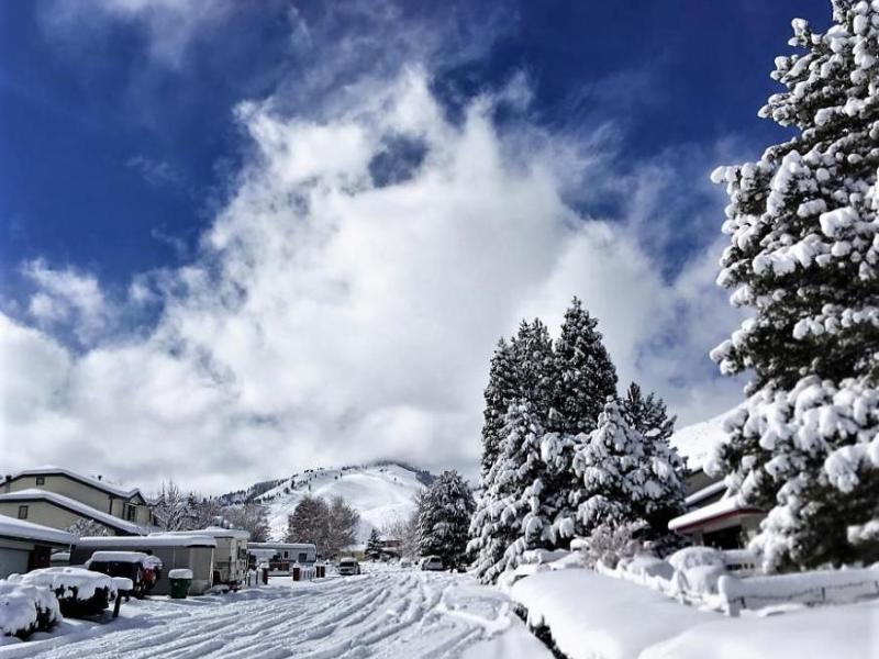 Photo by Rob Wm. Vugteveen. Winter Wonderland on University Heights in Carson City.