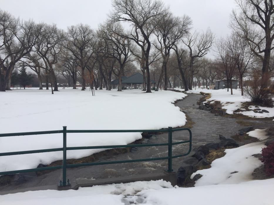 The stream at Mills Park was flowing swiftly Wednesday afternoon.
