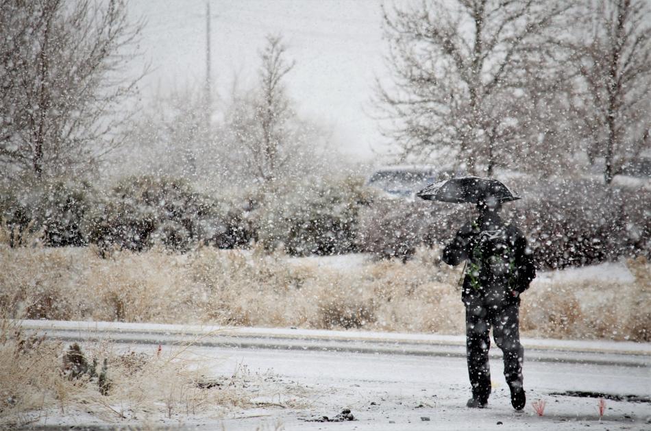 Photo by Scott McDaniel. A rain and snow mix made for 'snowbrella' weather Thursday.