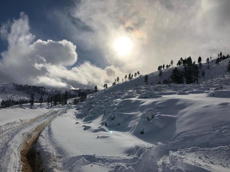 A photo of Kings Canyon taken earlier this month by Carson City Parks and Recreation.