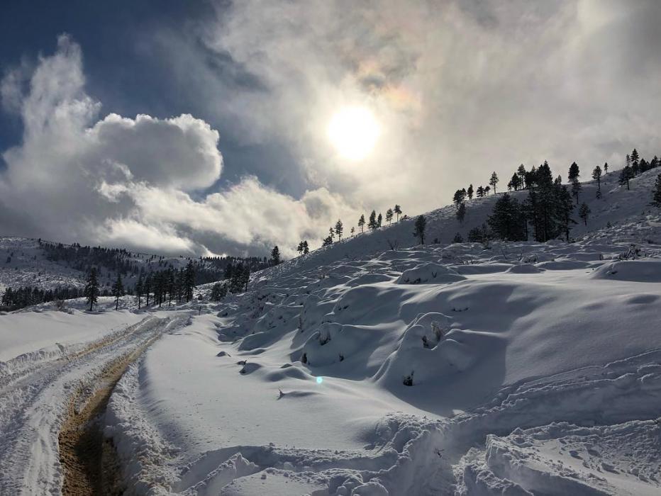 A photo of Kings Canyon taken earlier this month by Carson City Parks and Recreation.
